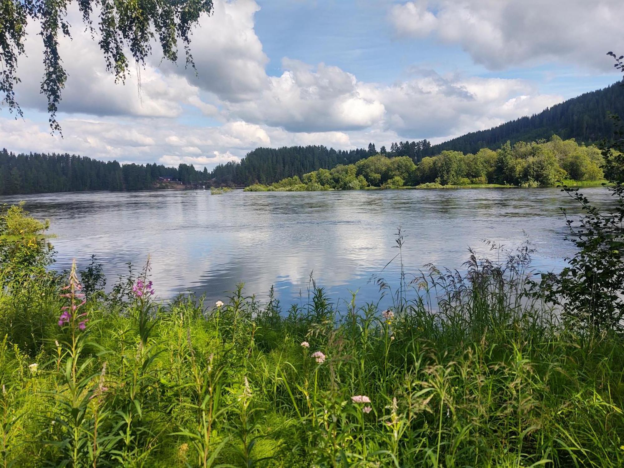 Selholmens Camping Älvsbyn Exterior foto